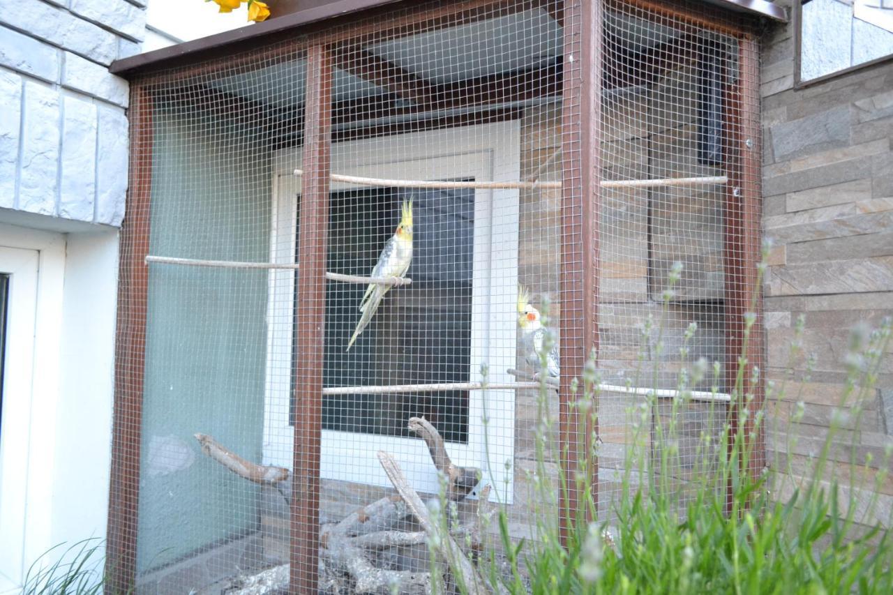 Pokoje Goscinne U Hanki Jastrzębia Góra Exteriör bild